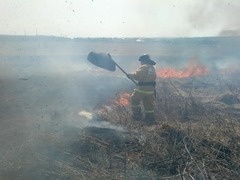 Добровольные пожарные ликвидировали возгорание