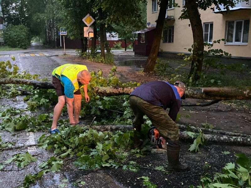 Добровольцы ликвидируют последствия сильного ветра