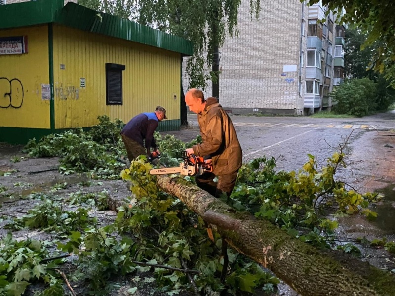 Добровольцы ликвидируют последствия сильного ветра