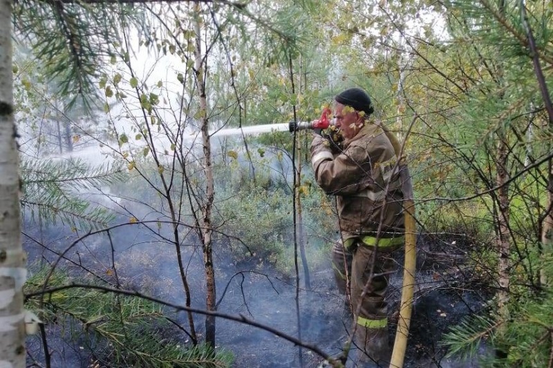 Добровольцы  участвовали  в тушении пожара