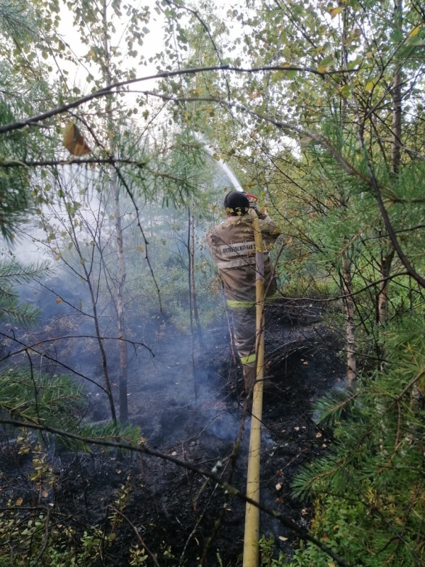 Добровольцы  участвовали  в тушении пожара